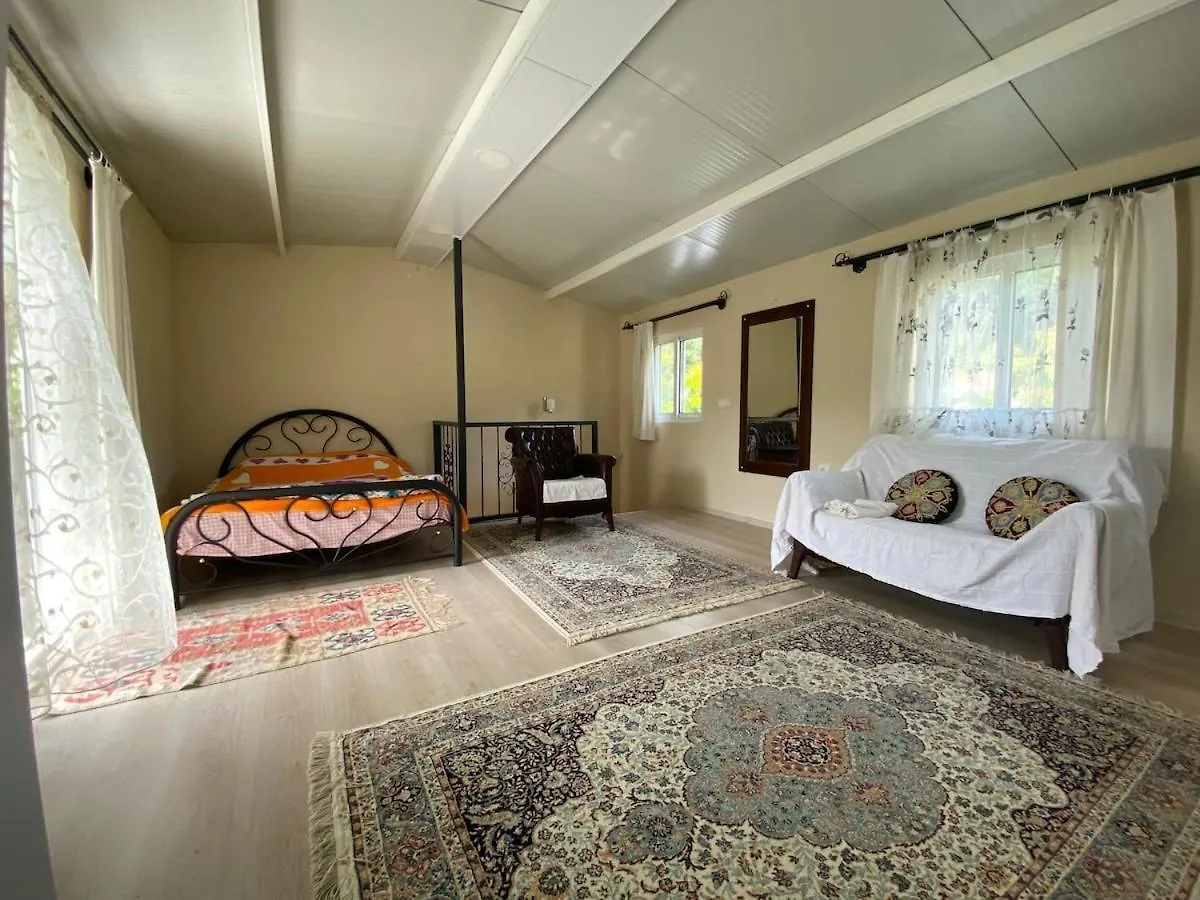 Dom wakacyjny Willa Agora Evi 2 Marmaris